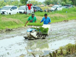 Produksi Pertanian dan Peternakan di Kabupaten Rembang Meningkat di 2025