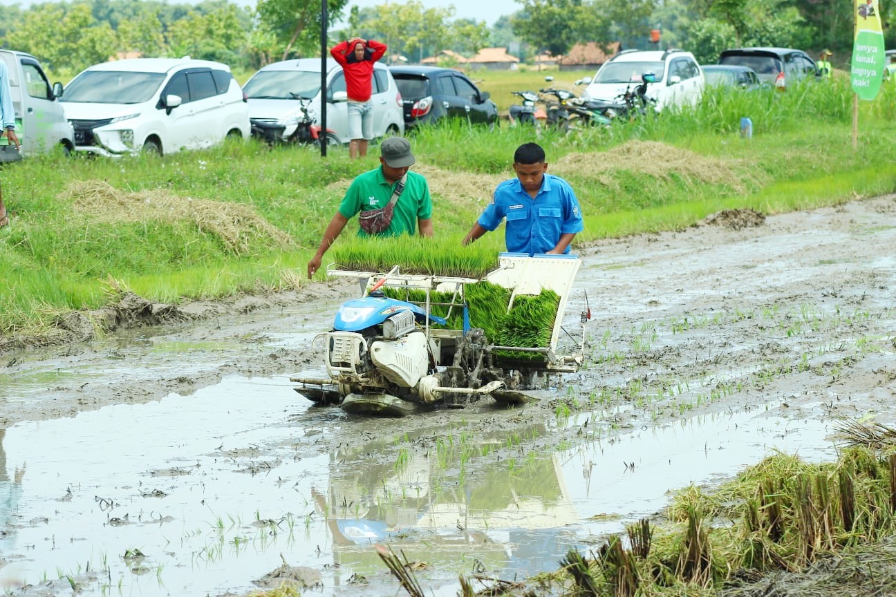Produksi Pertanian dan Peternakan di Kabupaten Rembang Meningkat di 2025