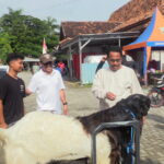 Bupati Rembang Apresiasi Kontes Kambing sebagai Penggerak Ekonomi Daerah