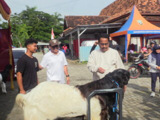 Bupati Rembang Apresiasi Kontes Kambing sebagai Penggerak Ekonomi Daerah