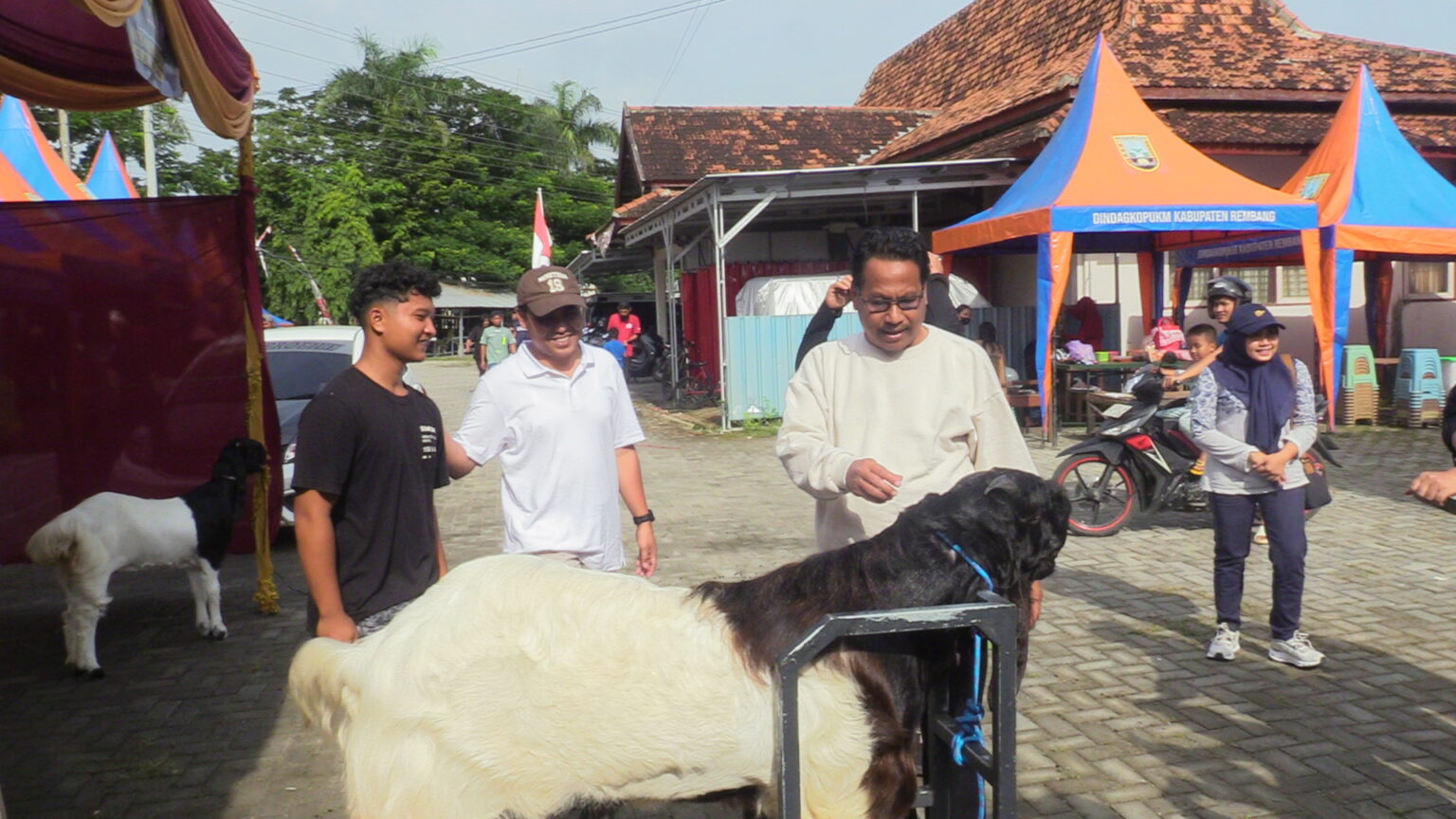 Bupati Rembang Apresiasi Kontes Kambing sebagai Penggerak Ekonomi Daerah