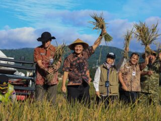 Gubernur Jawa Tengah Pimpin Panen Raya, Target Januari - Maret 2026 Capai 3,35 Juta Ton