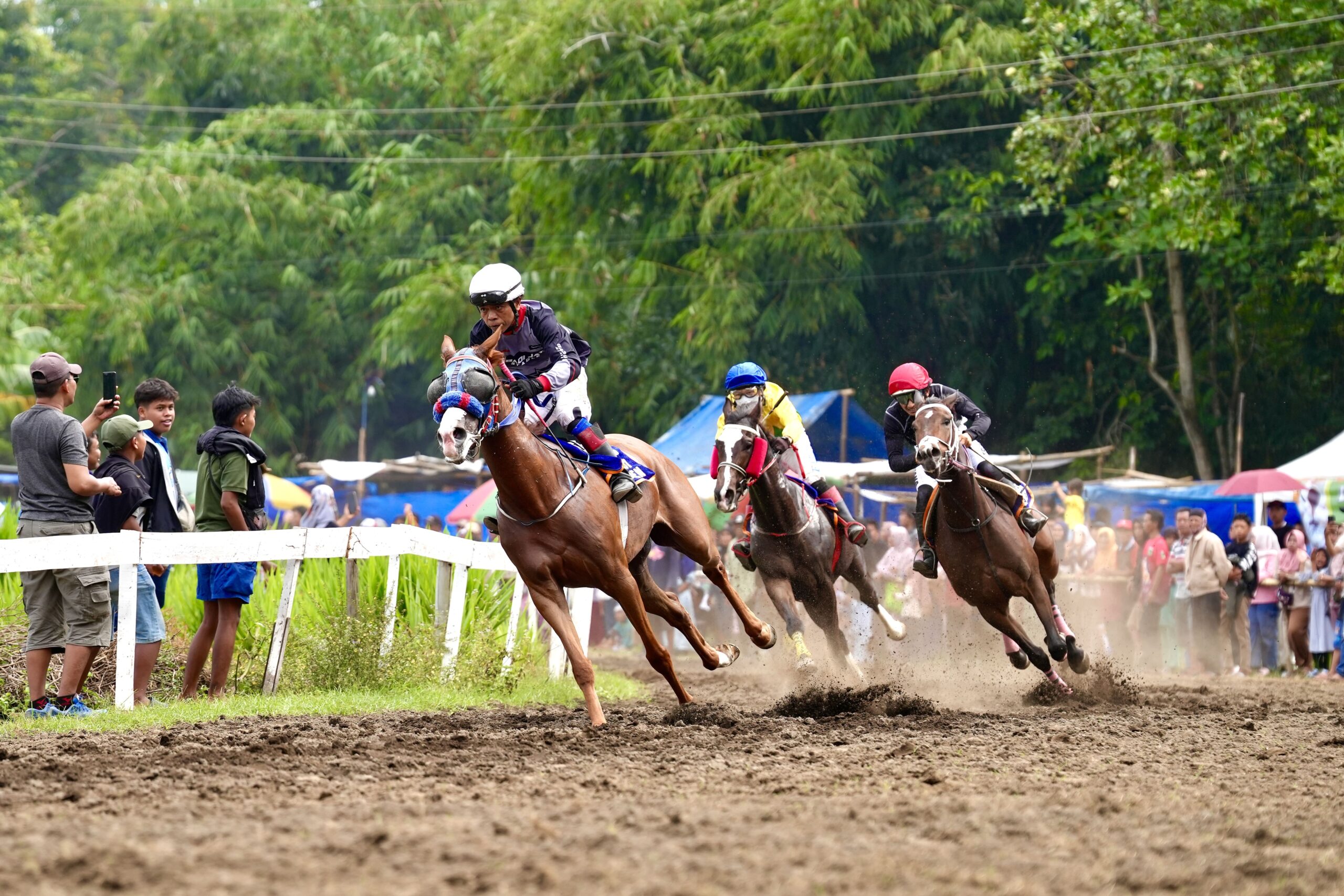 Ribuan Penonton Tumpah Ruah! Pacuan Kuda Kebumen Kian Mendunia, Ratusan Peserta Ramaikan Ajang Tahunan