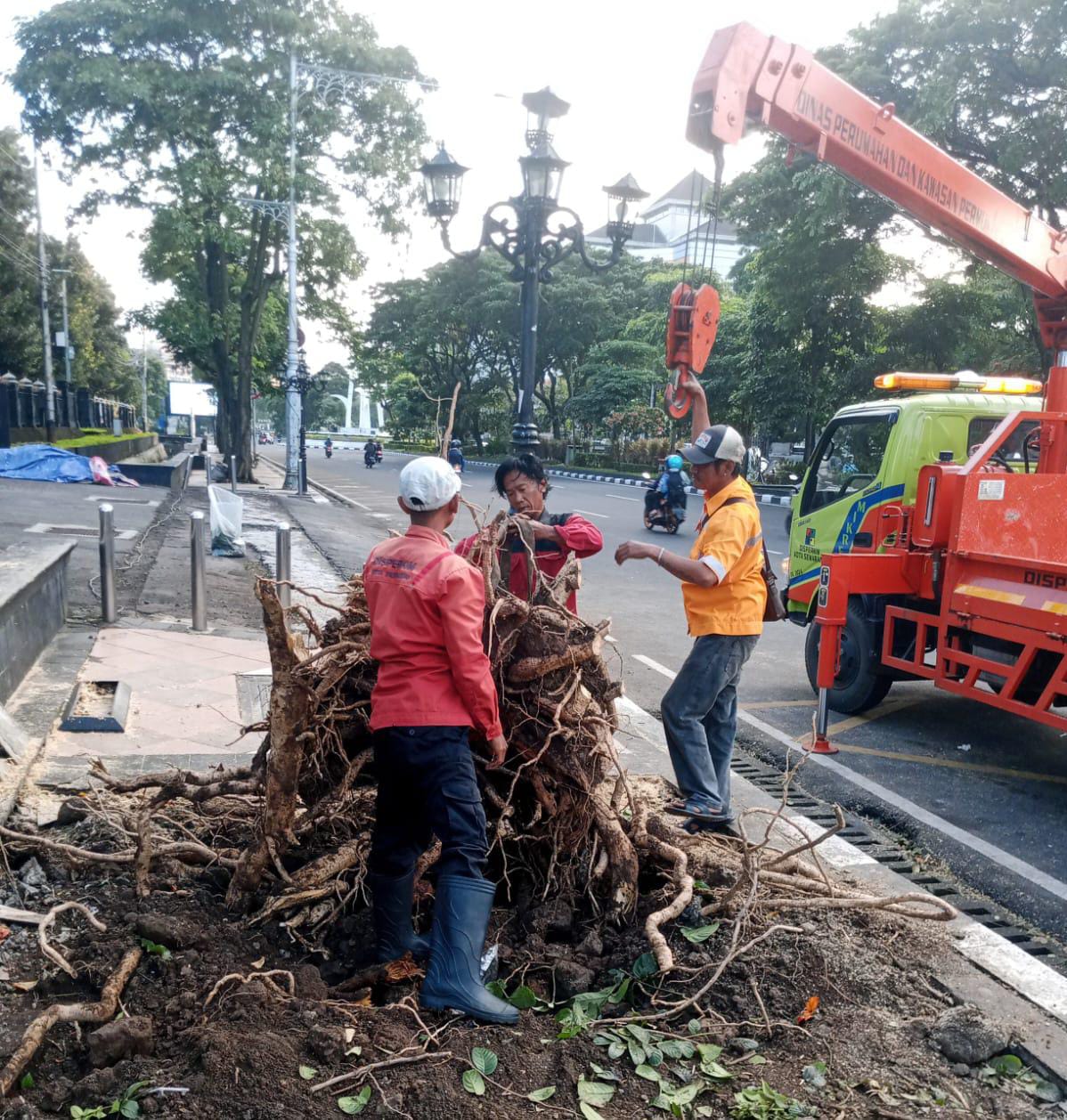 Pemkot Semarang Tangani Dampak Hujan Angin, Puluhan Pohon Tumbang Dibersihkan