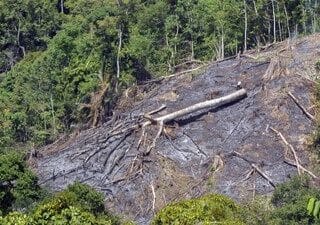 Merespons Tingginya Frekuensi Bencana, DPRD Jateng Godok Raperda Rehabilitasi Lahan Kritis