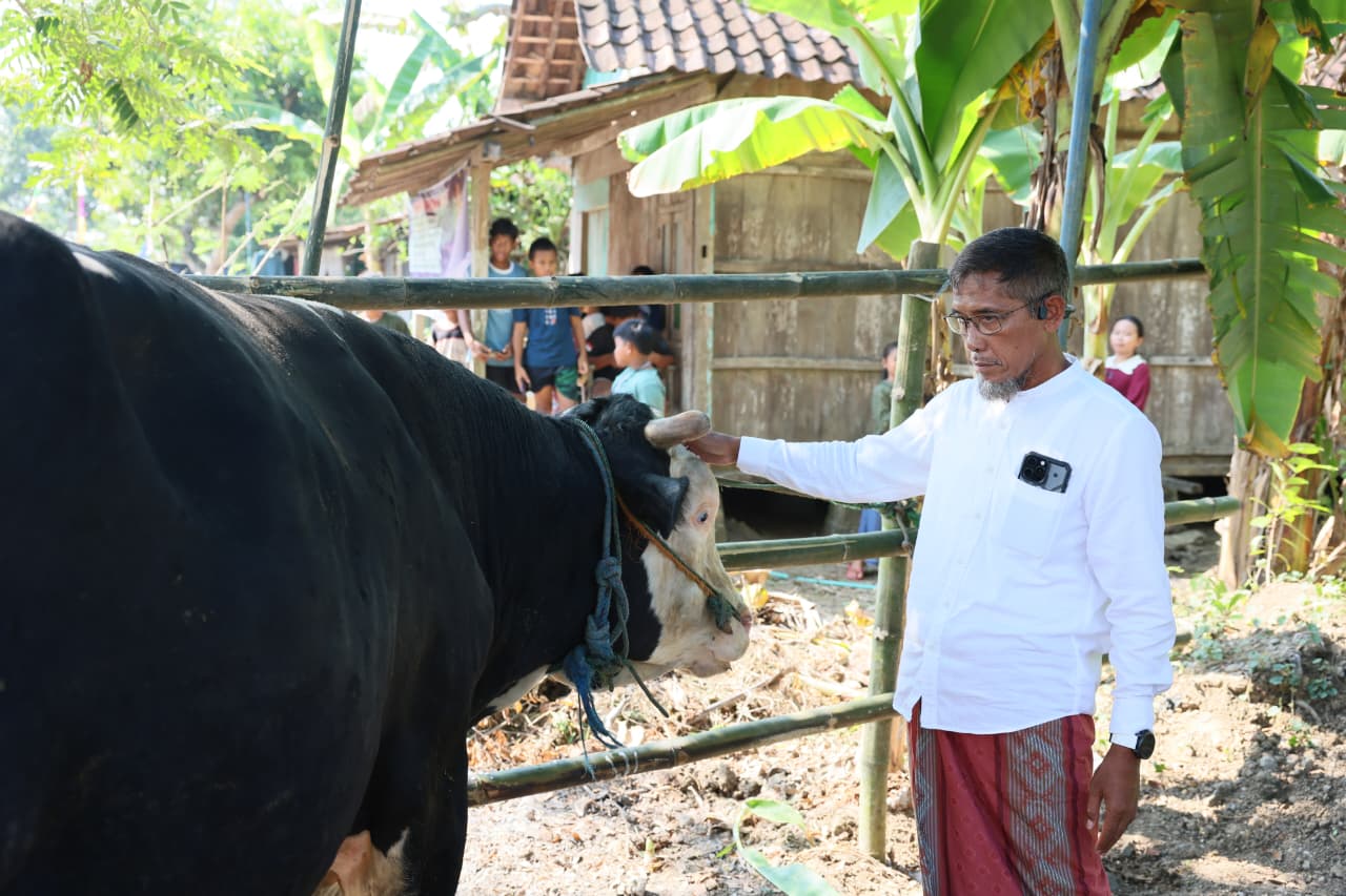 Sekda Provinsi Jawa Tengah Sumarno menyerahkan bantuan sapi kurban seberat 1,1 ton kepada warga terdampak banjir di Desa Tinanding Grobogan.