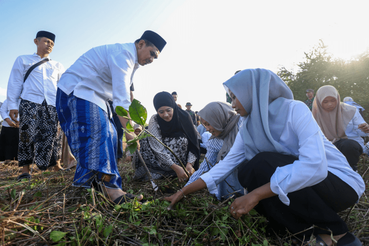 Wakil Gubernur Jawa Tengah Taj Yasin Maimoen bersama ratusan santri Ponpes Al-Anwar 4 menanam bibit mangrove di Pantai Temperak Rembang.