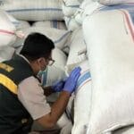 Lolos Uji Karantina, 188,7 Ton Cengkih Natuna Aman Dikirim ke Semarang