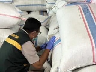 Lolos Uji Karantina, 188,7 Ton Cengkih Natuna Aman Dikirim ke Semarang