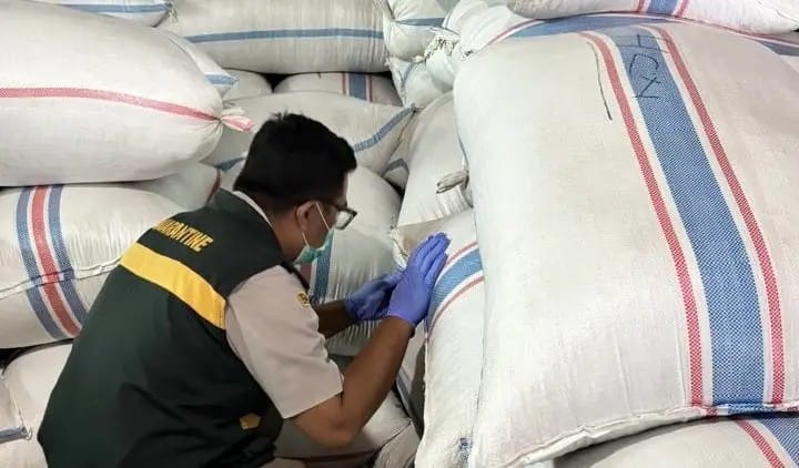 Petugas Karantina Kepulauan Riau memeriksa komoditas 188,7 ton cengkih asal Natuna sebelum diberangkatkan ke Semarang.