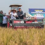 Produksi Padi Jateng Tembus 6,69 Juta Ton, Ini Strategi Ahmad Luthfi Hadapi Kemarau Panjang
