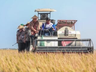 Pemprov Jateng siapkan asuransi Jamkrida untuk lahan sawah gagal panen atau puso.