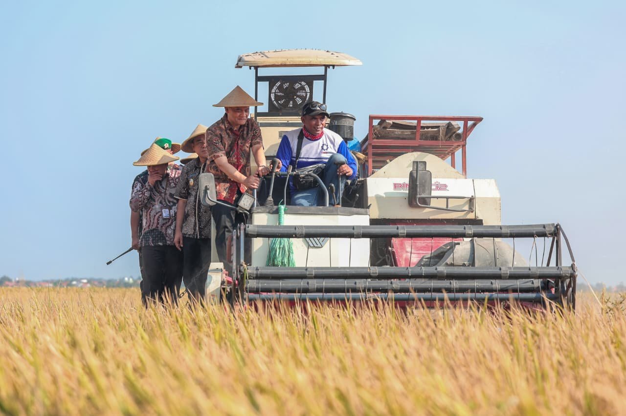 Pemprov Jateng siapkan asuransi Jamkrida untuk lahan sawah gagal panen atau puso.