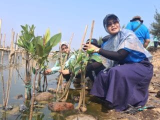 Perkuat Benteng Pesisir Semarang, PLN Indonesia Power Tanam 1.000 Mangrove di Tambak Mulyo