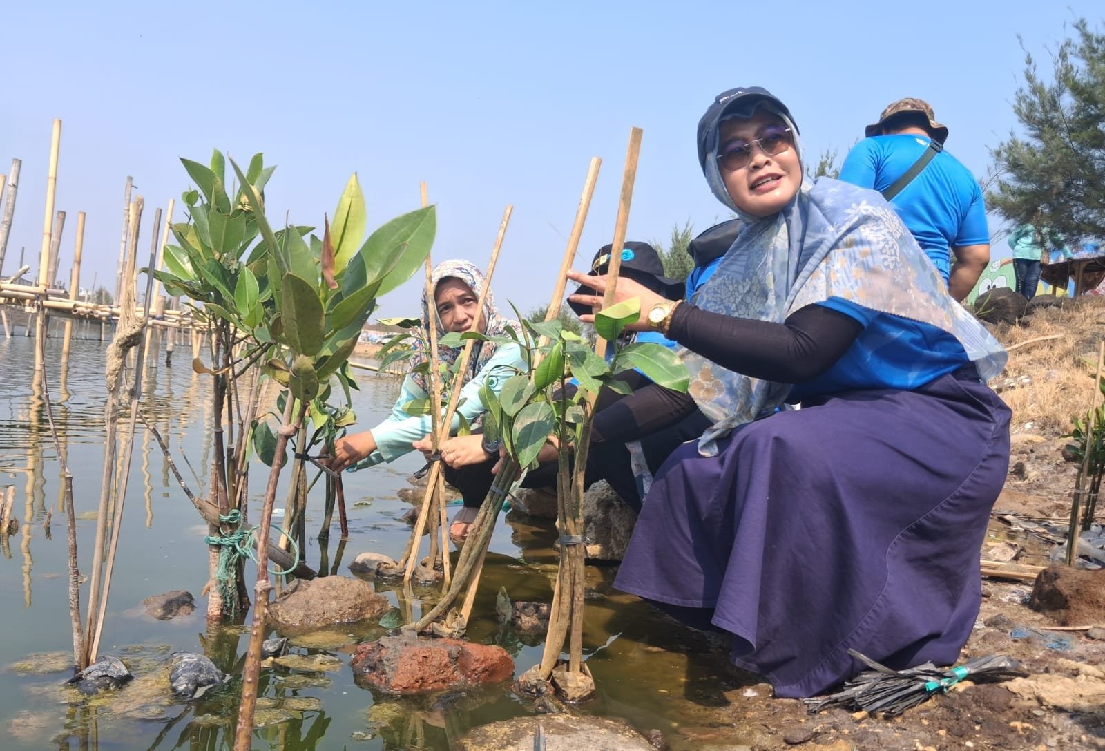 PLN Indonesia Power tanam 1.000 bibit mangrove di Tambak Mulyo Semarang.