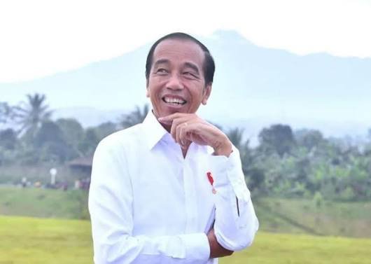 Presiden ke-7 RI Joko Widodo