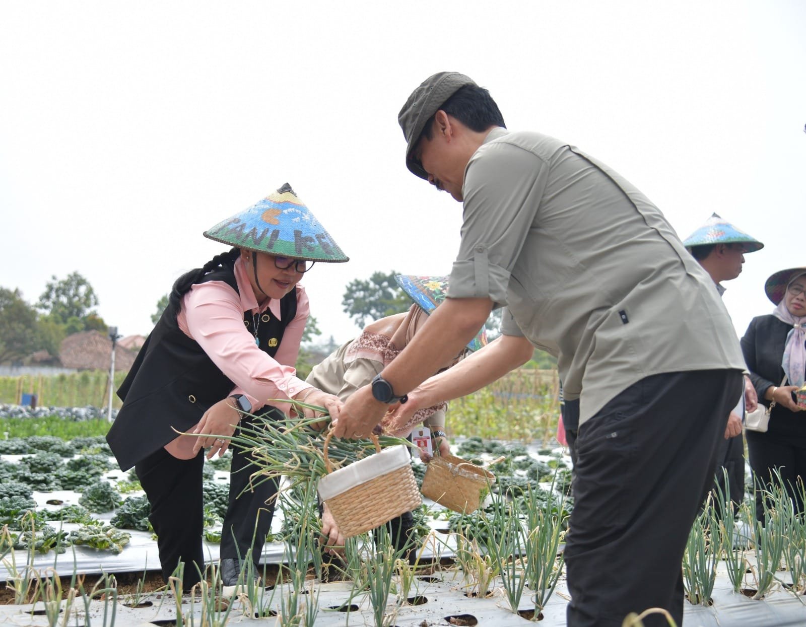 Kembangkan Pertanian Terpadu Metode BSM, Wali Kota Semarang Agustina Minta Hasil Panen Warga Terhubung Langsung ke Pasar