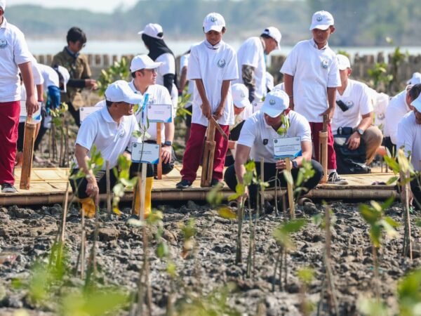 Harapan Baru Warga Timbulsloko Demak: 10 Tahun Melawan Rob, Kini Jadi Percontohan Pemulihan Pesisir Pantura