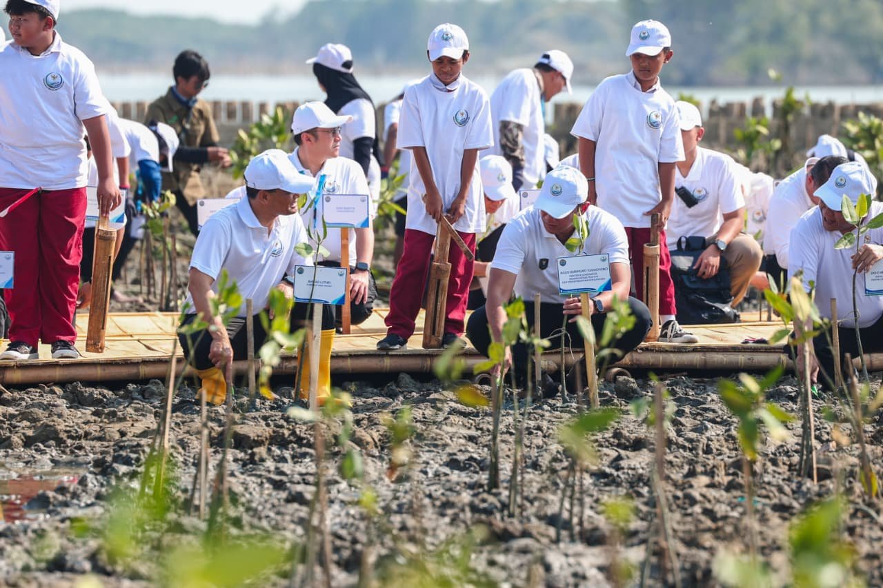 Harapan Baru Warga Timbulsloko Demak: 10 Tahun Melawan Rob, Kini Jadi Percontohan Pemulihan Pesisir Pantura